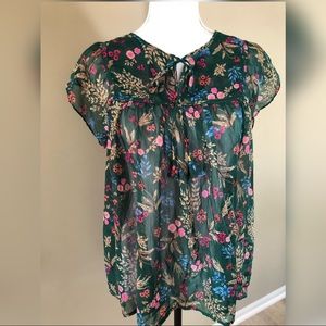 Francesca’s Popover